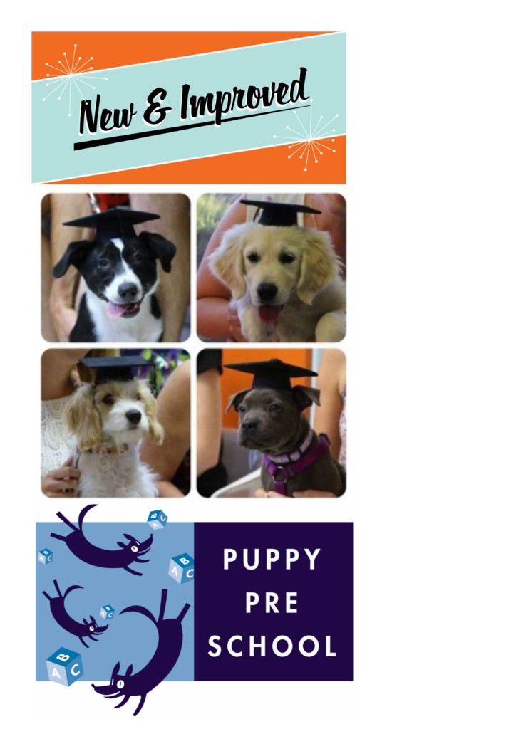 New Improved Puppy Preschool visual